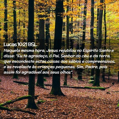 Picture 02 - Lucas 10:21 BSL - Naquela mesma hora, Jesus rejubilou no Espírito - Bible Verse Picture