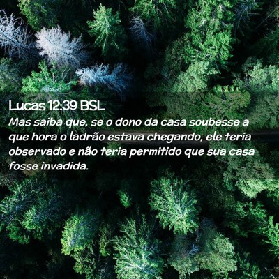 Picture 02 - Lucas 12:39 BSL - Mas saiba que, se o dono da casa soubesse a que - Bible Verse Picture