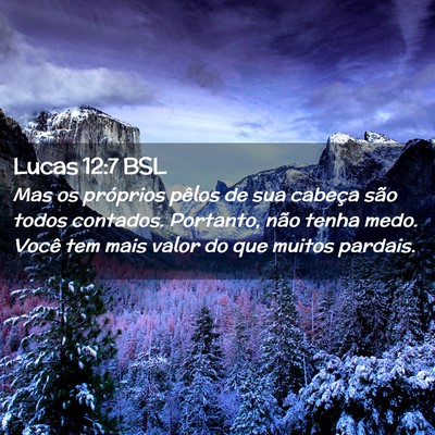 Picture 02 - Lucas 12:7 BSL - Mas os próprios pêlos de sua cabeça são todos - Bible Verse Picture