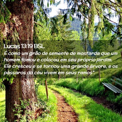 Picture 02 - Lucas 13:19 BSL - É como um grão de semente de mostarda que um - Bible Verse Picture
