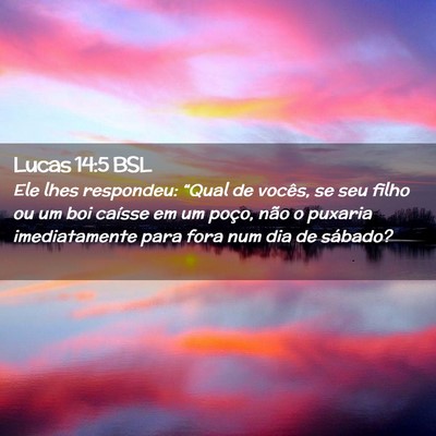 Picture 02 - Lucas 14:5 BSL - Ele lhes respondeu: “Qual de vocês, se seu - Bible Verse Picture