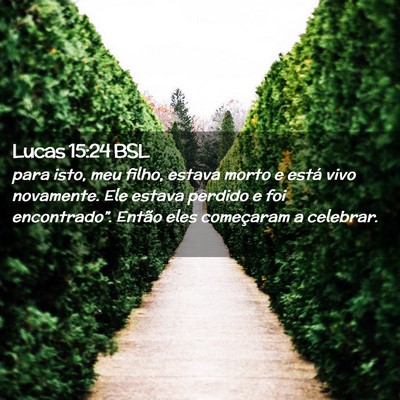 Picture 02 - Lucas 15:24 BSL - para isto, meu filho, estava morto e está vivo - Bible Verse Picture