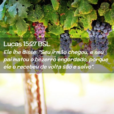 Picture 02 - Lucas 15:27 BSL - Ele lhe disse: “Seu irmão chegou, e seu pai - Bible Verse Picture