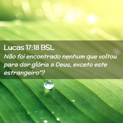 Picture 02 - Lucas 17:18 BSL - Não foi encontrado nenhum que voltou para dar - Bible Verse Picture