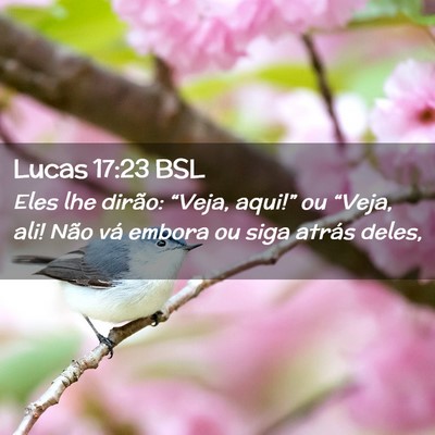 Picture 02 - Lucas 17:23 BSL - Eles lhe dirão: “Veja, aqui!” ou “Veja, - Bible Verse Picture