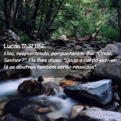 Picture 02 - Lucas 17:37 BSL - Eles, respondendo, perguntaram-lhe: “Onde, - Bible Verse Picture