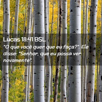 Picture 02 - Lucas 18:41 BSL - “O que você quer que eu faça?”. Ele disse: - Bible Verse Picture
