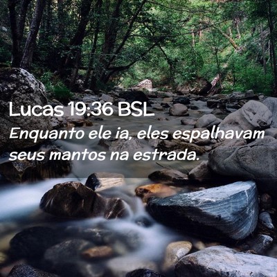 Picture 02 - Lucas 19:36 BSL - Enquanto ele ia, eles espalhavam seus mantos na - Bible Verse Picture