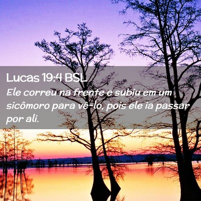 Picture 02 - Lucas 19:4 BSL - Ele correu na frente e subiu em um sicômoro para - Bible Verse Picture