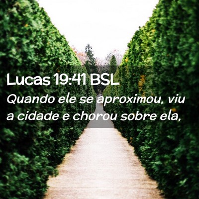 Picture 02 - Lucas 19:41 BSL - Quando ele se aproximou, viu a cidade e chorou - Bible Verse Picture
