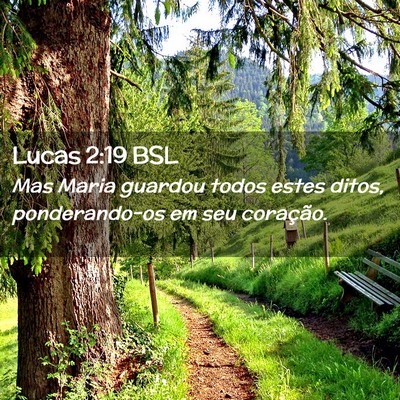 Picture 02 - Lucas 2:19 BSL - Mas Maria guardou todos estes ditos, - Bible Verse Picture