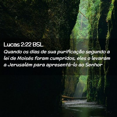 Picture 02 - Lucas 2:22 BSL - Quando os dias de sua purificação segundo a lei - Bible Verse Picture