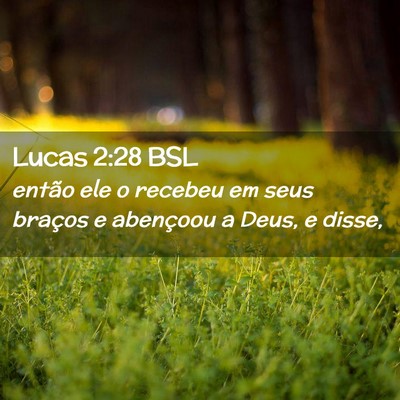 Picture 02 - Lucas 2:28 BSL - então ele o recebeu em seus braços e abençoou - Bible Verse Picture