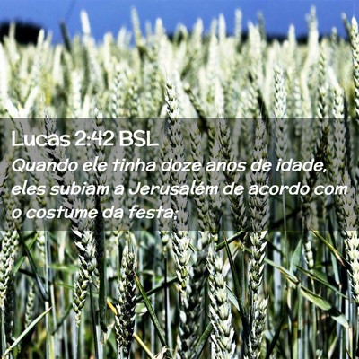 Picture 02 - Lucas 2:42 BSL - Quando ele tinha doze anos de idade, eles subiam - Bible Verse Picture