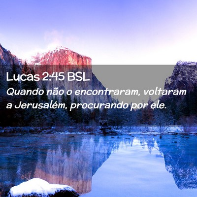 Picture 02 - Lucas 2:45 BSL - Quando não o encontraram, voltaram a Jerusalém, - Bible Verse Picture