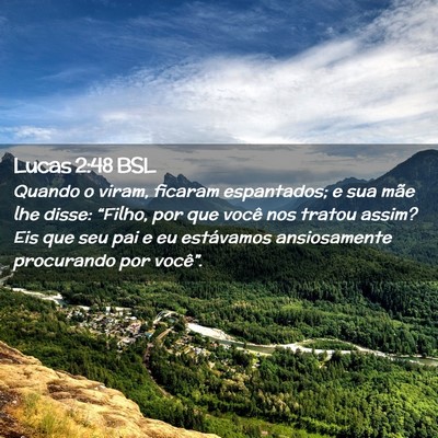 Picture 02 - Lucas 2:48 BSL - Quando o viram, ficaram espantados; e sua mãe - Bible Verse Picture