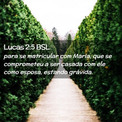 Picture 02 - Lucas 2:5 BSL - para se matricular com Maria, que se comprometeu - Bible Verse Picture