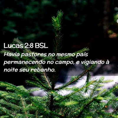Picture 02 - Lucas 2:8 BSL - Havia pastores no mesmo país permanecendo no - Bible Verse Picture