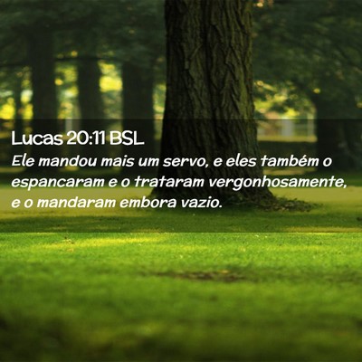 Picture 02 - Lucas 20:11 BSL - Ele mandou mais um servo, e eles também o - Bible Verse Picture