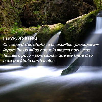 Picture 02 - Lucas 20:19 BSL - Os sacerdotes chefes e os escribas procuraram - Bible Verse Picture