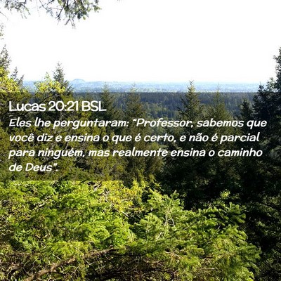Picture 02 - Lucas 20:21 BSL - Eles lhe perguntaram: “Professor, sabemos que - Bible Verse Picture