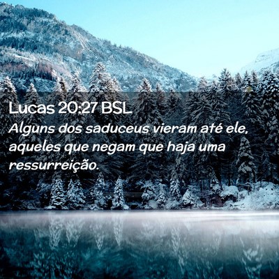 Picture 02 - Lucas 20:27 BSL - Alguns dos saduceus vieram até ele, aqueles que - Bible Verse Picture
