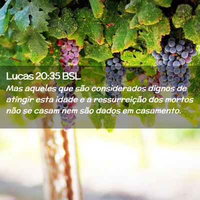 Picture 02 - Lucas 20:35 BSL - Mas aqueles que são considerados dignos de - Bible Verse Picture