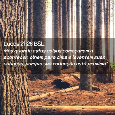 Picture 02 - Lucas 21:28 BSL - Mas quando estas coisas começarem a acontecer, - Bible Verse Picture