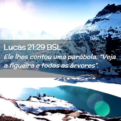 Picture 02 - Lucas 21:29 BSL - Ele lhes contou uma parábola. “Veja a figueira - Bible Verse Picture