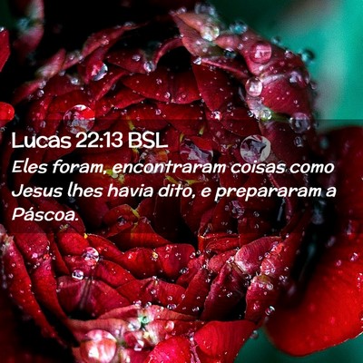 Picture 02 - Lucas 22:13 BSL - Eles foram, encontraram coisas como Jesus lhes - Bible Verse Picture