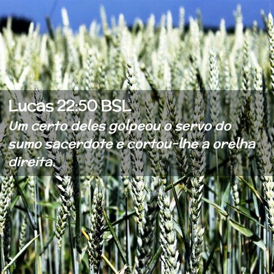 Picture 02 - Lucas 22:50 BSL - Um certo deles golpeou o servo do sumo sacerdote - Bible Verse Picture