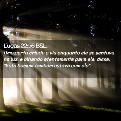 Picture 02 - Lucas 22:56 BSL - Uma certa criada o viu enquanto ele se sentava na - Bible Verse Picture