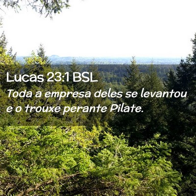 Picture 02 - Lucas 23:1 BSL - Toda a empresa deles se levantou e o trouxe - Bible Verse Picture