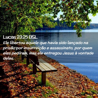 Picture 02 - Lucas 23:25 BSL - Ele libertou aquele que havia sido lançado na - Bible Verse Picture