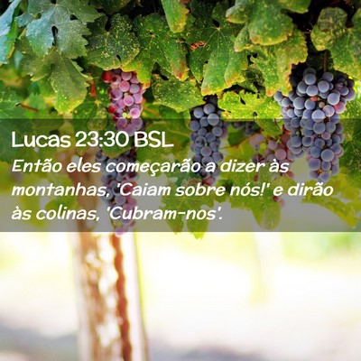 Picture 02 - Lucas 23:30 BSL - Então eles começarão a dizer às montanhas, - Bible Verse Picture