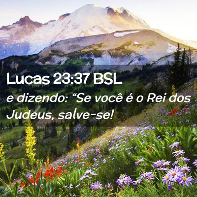 Picture 02 - Lucas 23:37 BSL - e dizendo: “Se você é o Rei dos Judeus, - Bible Verse Picture