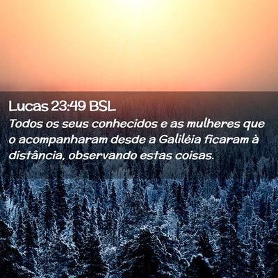 Picture 02 - Lucas 23:49 BSL - Todos os seus conhecidos e as mulheres que o - Bible Verse Picture
