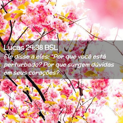 Picture 02 - Lucas 24:38 BSL - Ele disse a eles: “Por que você está - Bible Verse Picture