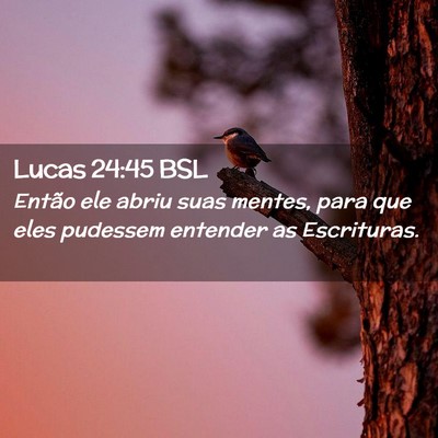 Picture 02 - Lucas 24:45 BSL - Então ele abriu suas mentes, para que eles - Bible Verse Picture
