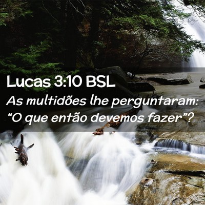 Picture 02 - Lucas 3:10 BSL - As multidões lhe perguntaram: “O que então - Bible Verse Picture