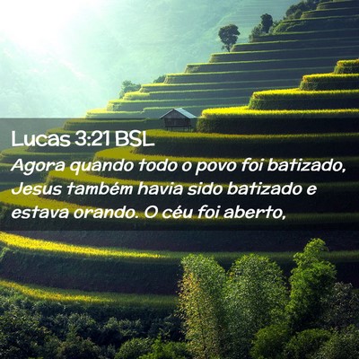 Picture 02 - Lucas 3:21 BSL - Agora quando todo o povo foi batizado, Jesus - Bible Verse Picture