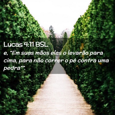 Picture 02 - Lucas 4:11 BSL - e, “Em suas mãos eles o levarão para cima, - Bible Verse Picture