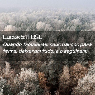 Picture 02 - Lucas 5:11 BSL - Quando trouxeram seus barcos para terra, deixaram - Bible Verse Picture