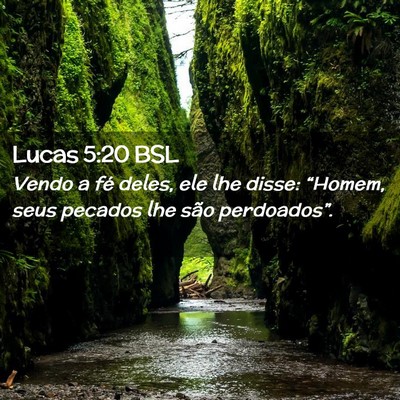 Picture 02 - Lucas 5:20 BSL - Vendo a fé deles, ele lhe disse: “Homem, seus - Bible Verse Picture
