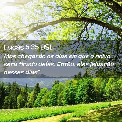 Picture 02 - Lucas 5:35 BSL - Mas chegarão os dias em que o noivo será tirado - Bible Verse Picture