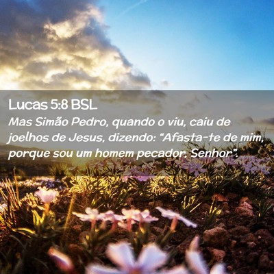 Picture 02 - Lucas 5:8 BSL - Mas Simão Pedro, quando o viu, caiu de joelhos - Bible Verse Picture