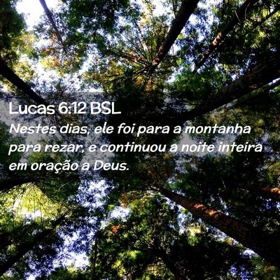 Picture 02 - Lucas 6:12 BSL - Nestes dias, ele foi para a montanha para rezar, - Bible Verse Picture