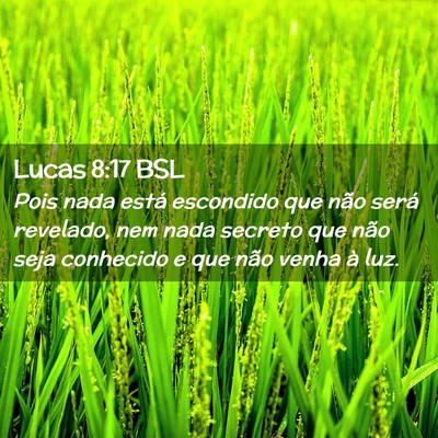 Picture 02 - Lucas 8:17 BSL - Pois nada está escondido que não será - Bible Verse Picture