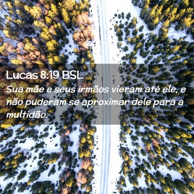 Picture 02 - Lucas 8:19 BSL - Sua mãe e seus irmãos vieram até ele, e não - Bible Verse Picture