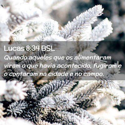 Picture 02 - Lucas 8:34 BSL - Quando aqueles que os alimentaram viram o que - Bible Verse Picture